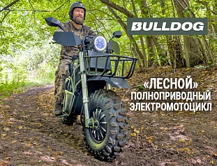 Электромотоцикл Baltmotors Bulldog | лес, драйв, туризм